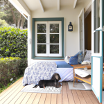 The Role of Architecture in Creating a Home That's Perfect for Pets